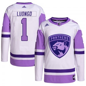 Roberto Luongo Florida Panthers Adidas Authentic Hockey Fights Cancer Primegreen Jersey (White/Purple)